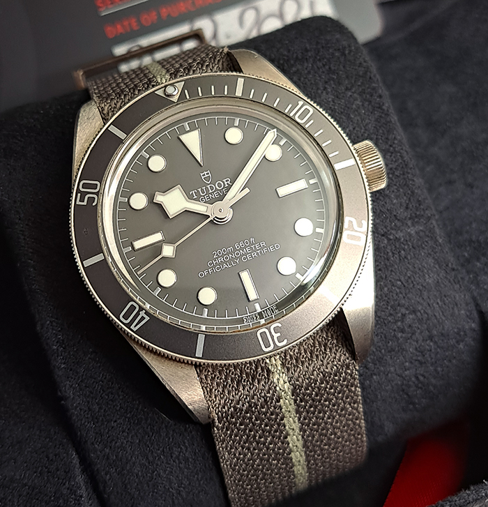 Tudor Black Bay 58 925 Silver Ref. 79010SG